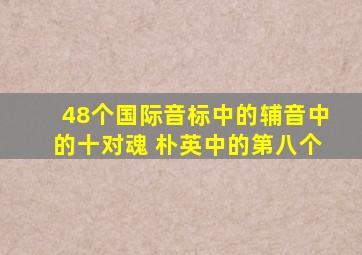 48个国际音标中的辅音中的十对魂 朴英中的第八个